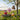 Bugs & Insects