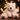 Antonio Baby Polar Bear